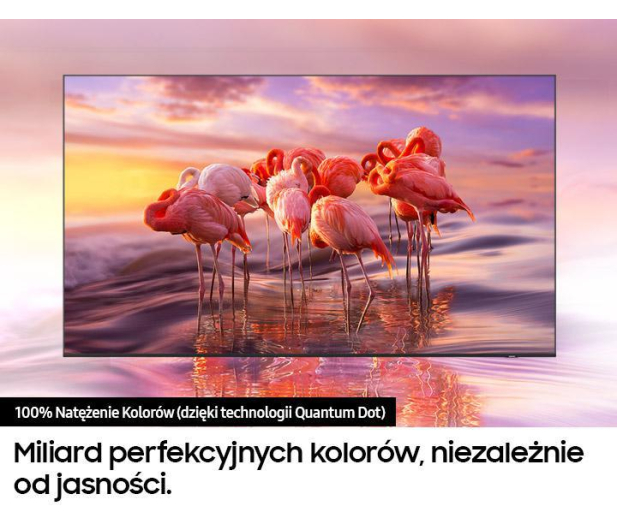Samsung QE50Q67AA - 627780 - zdjęcie 5